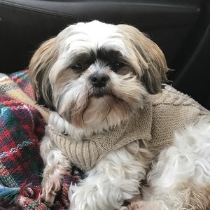 Meet your Posher, Shannon